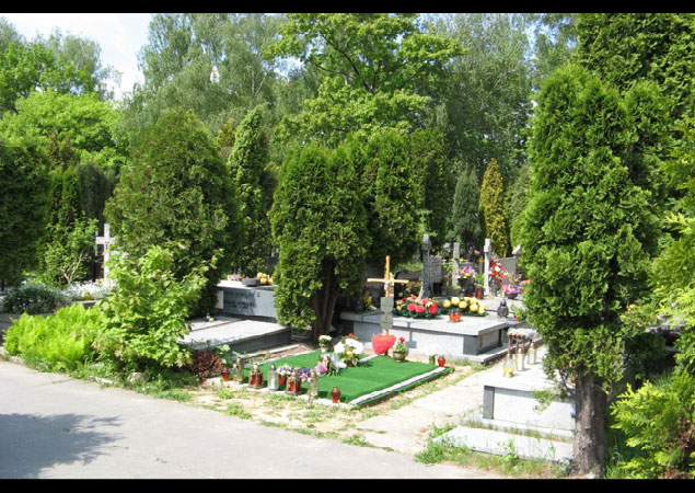 Konserwacje i rekonstrukcje zabytkowych rze�b i nagrobk�w